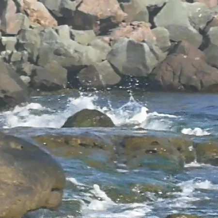 Апартамент Emerald & Spa,studio Ikat310 *