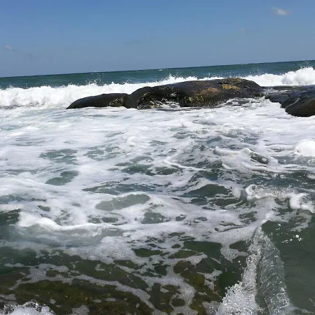 Emerald & Spa,studio Ikat310