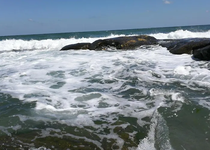 Emerald & Spa,studio Ikat310